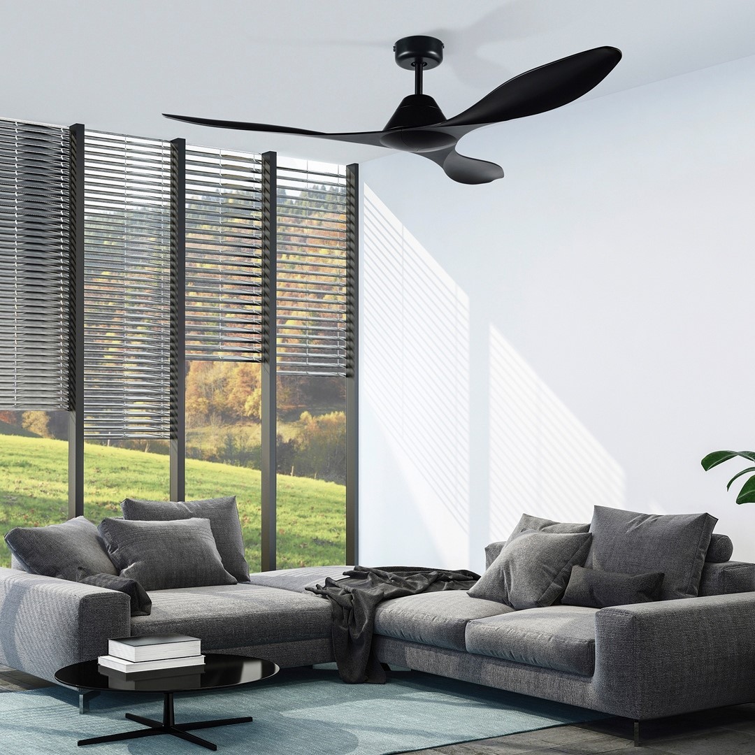 rooms with ceiling fans