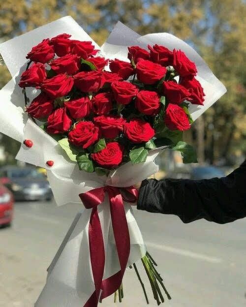 rosas rojas con forma de corazon